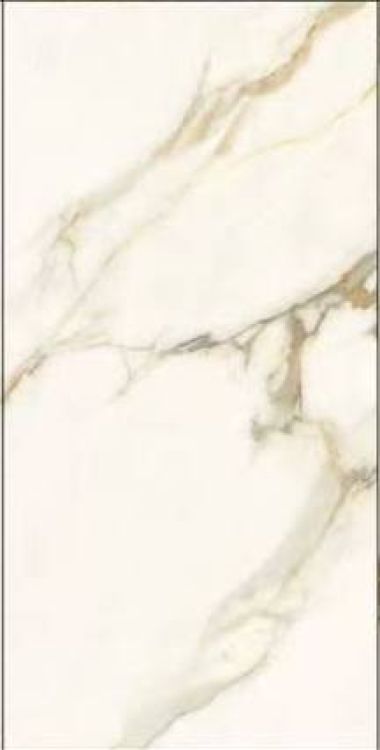 Time Dorado Matte 12 x 24